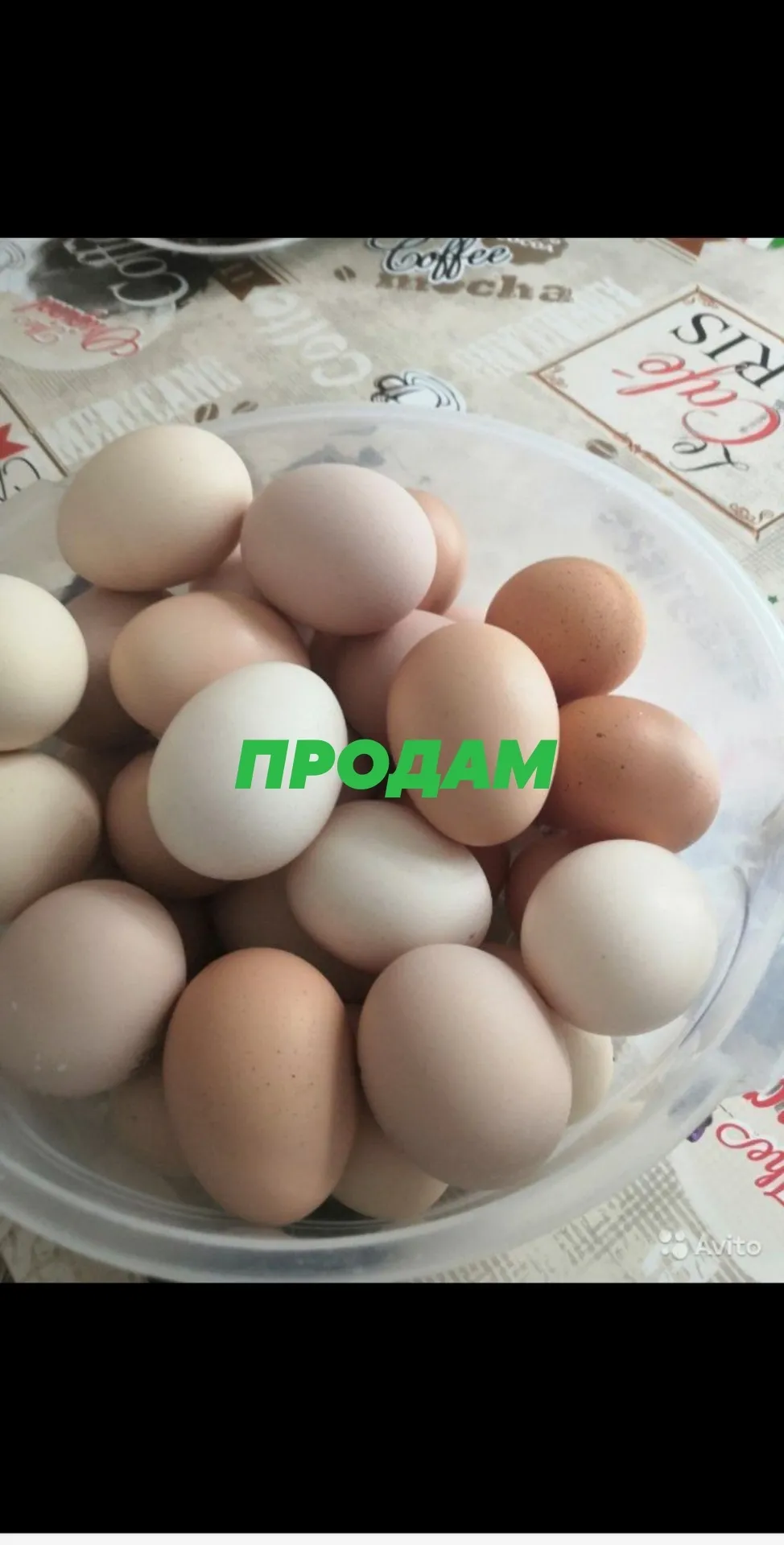 яйца в Симферополе и республике Крым