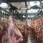 мясо говядина из Беларуси оптом в Симферополе 14