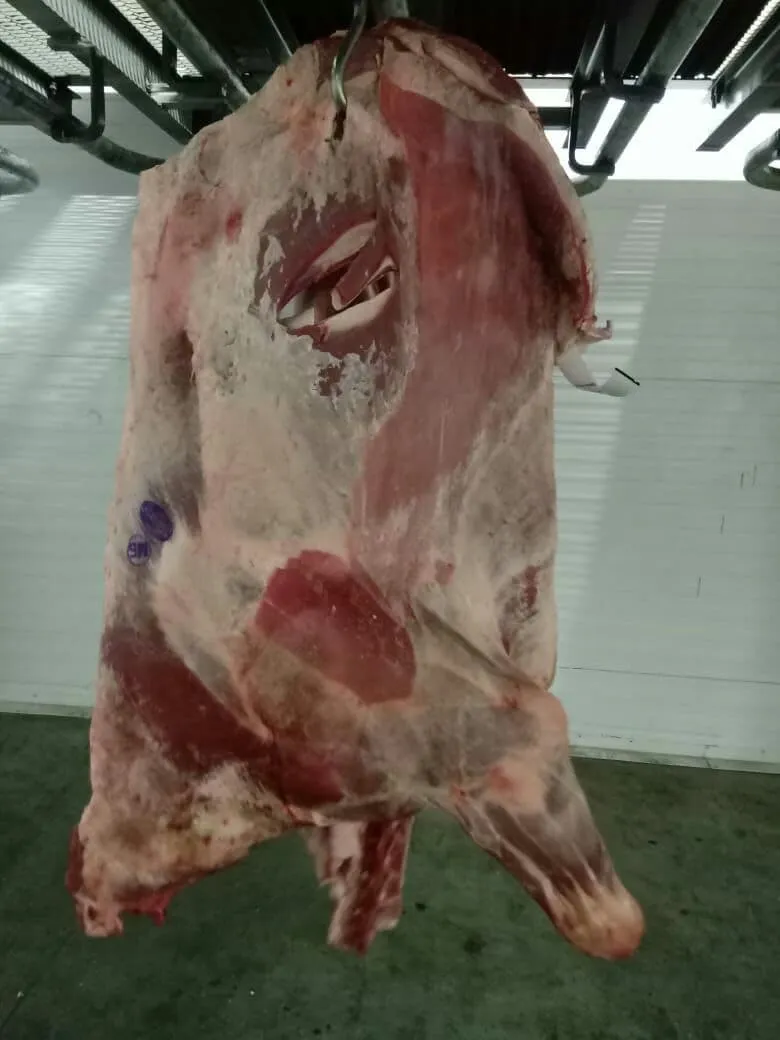 мясо говядина из Беларуси оптом в Симферополе