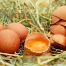 Крым бьет рекорды по производству яиц