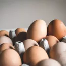 За 9 мес. всеми категориями хозяйств Крыма произведено больше 240 млн штук куриных яиц