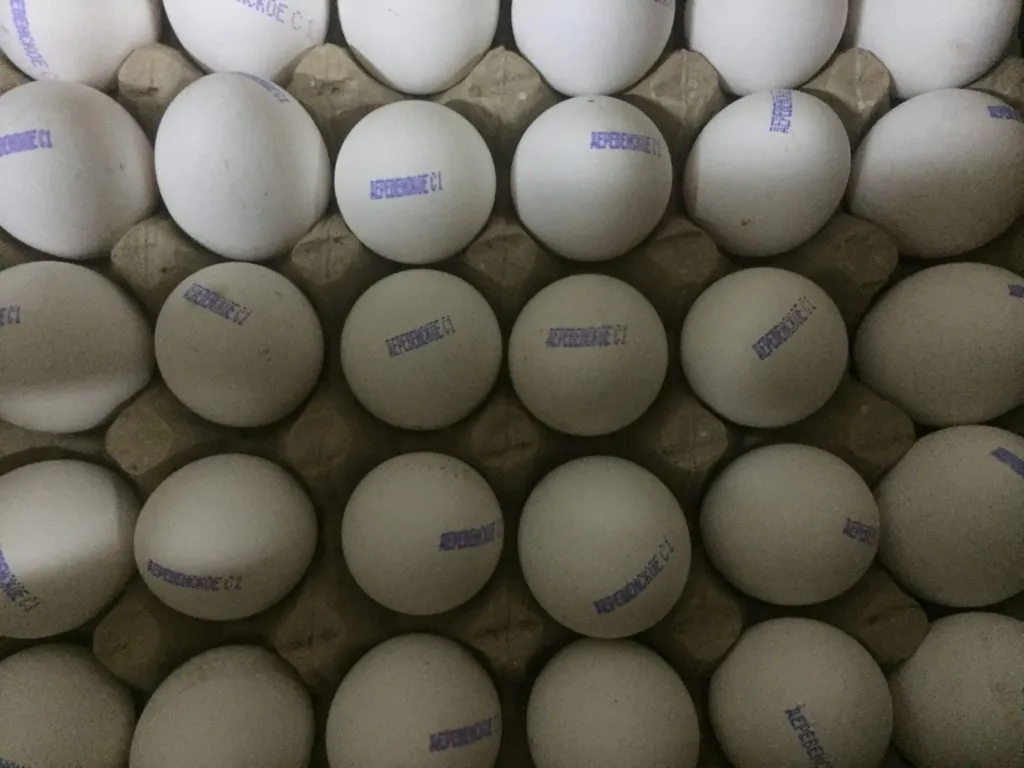 яйцо куриное, перепелиное, меланж в Симферополе 6