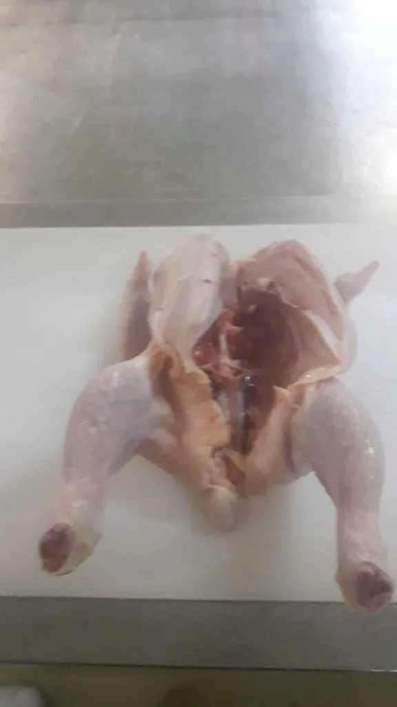 цыпленок Бройлера,мясо Птицы,тушкаКуриц  в Смоленске 10