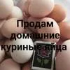 куриные яйца в Симферополе и республике Крым