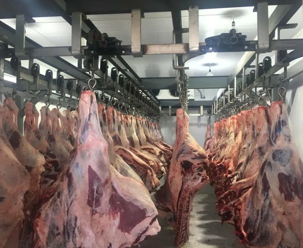 мясо говядина из Беларуси оптом в Симферополе 15