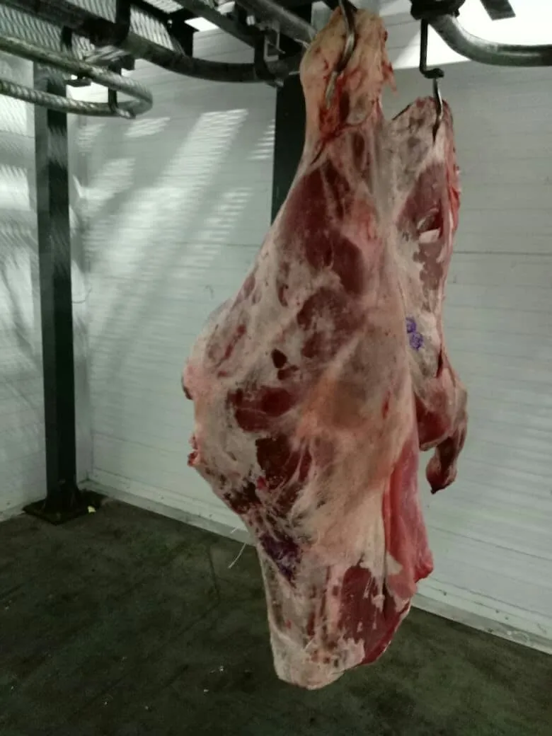 мясо говядина из Беларуси оптом в Симферополе 12