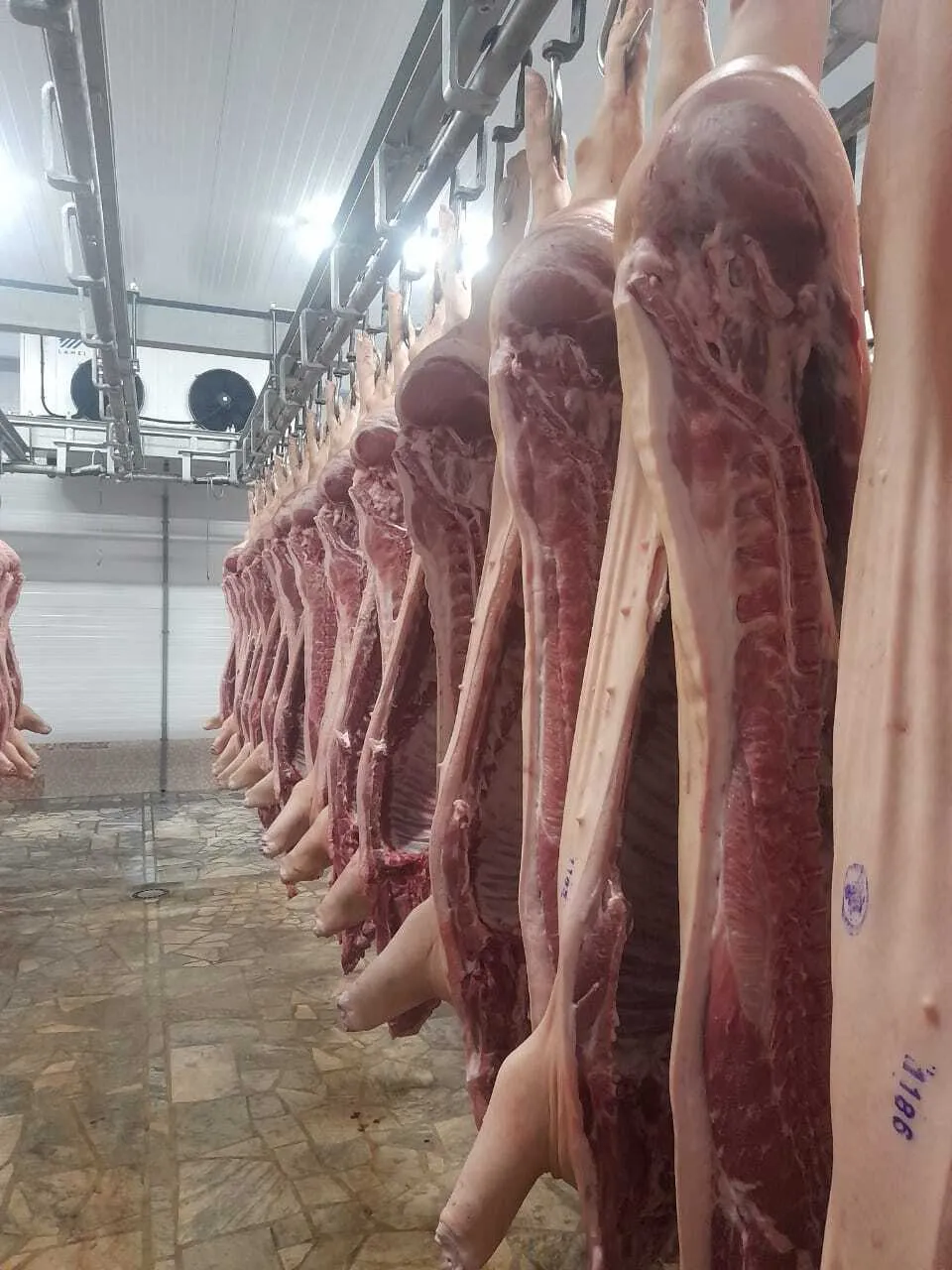 фотография продукта Ищу надежного поставщика мяса свинины