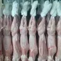 свежее мясо кролика в Симферополе и республике Крым