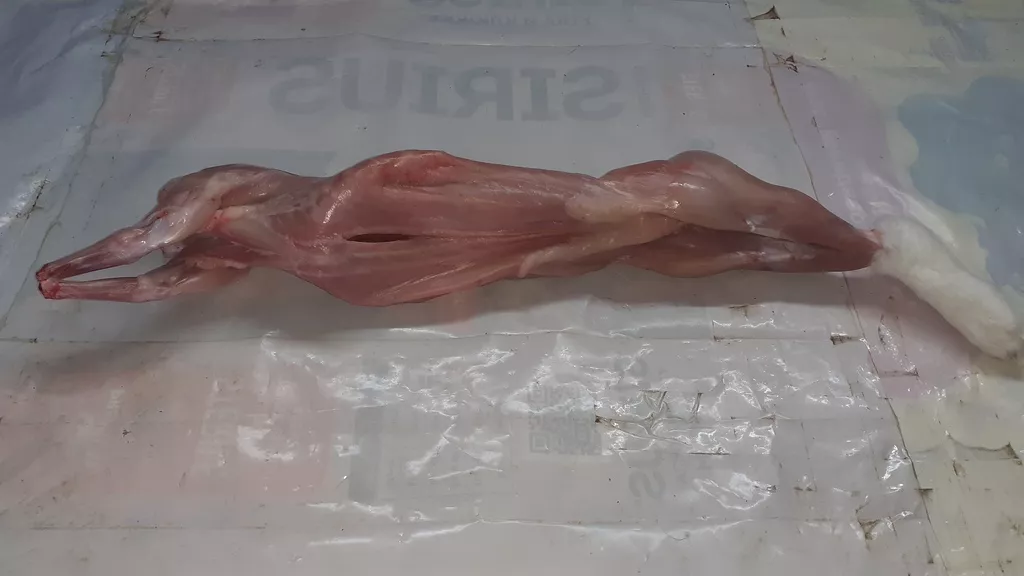 свежее мясо кролика в Симферополе и республике Крым
